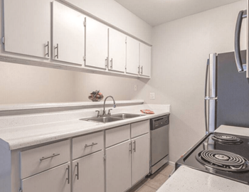 Stainless-steel appliances